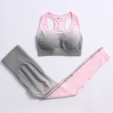 Women Seamless Yoga suits Jogging Suits Tracksuits Tracksuit Outfits 006576
