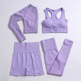 Women Seamless Yoga suits Jogging Suits Tracksuits Tracksuit Outfits 4MT00718