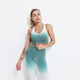 Women Long Sleeve Seamless Yoga suits Jogging Suits Tracksuits Tracksuit Outfits MY00617