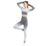 Women Long Sleeve Seamless Yoga suits Jogging Suits Tracksuits Tracksuit Outfits MY00617