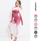 Women Long Sleeve Seamless Yoga suits Jogging Suits Tracksuits Tracksuit Outfits MY00617