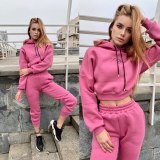 Fashion Women's Hooded Two Pcs One Set Tops With Bottom Pants Outfit Outfits 924253