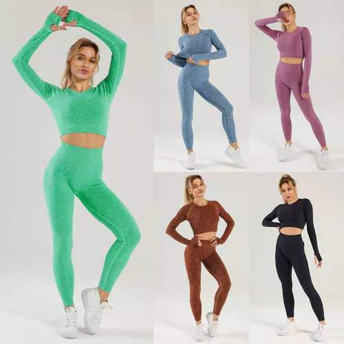 Women Seamless Yoga suits Jogging Suits Tracksuits Tracksuit Outfits YJ04455