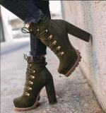 Women High Heels Flock Ankle Lace Up Boots Y1114152