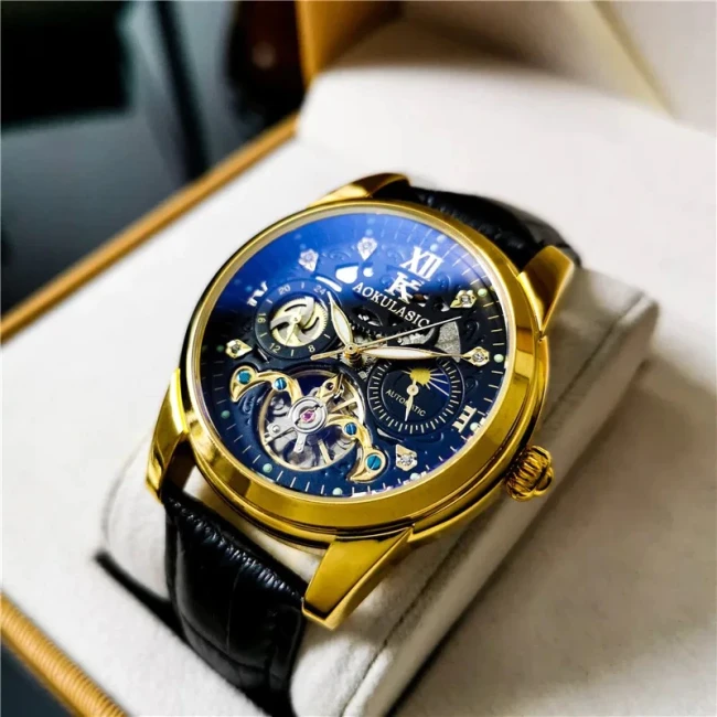 Men Mechanical Leather Luxury Waterproof Skeleton Watches 170112C