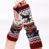 Fashion Women Winter  Wrist Arm Hand Warmer Knitted Long Fingerless Gloves ST-229310