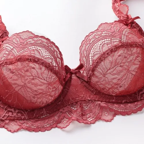 Women's Small Lace Sexy Non-Breast Pad Hollow Out  Lingeries Underwear