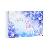 High-End Underwear Bra Packaging Gift Extra Hard Color Airplane Boxes