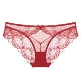 Women's Hollow Out Lace Briefs Lingeries Low Waist Triangle Pants 924152NK