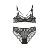 Women Sexy Ultra Thin Transparent Lace Bra and Panties Set Plus Size Underwear 924354