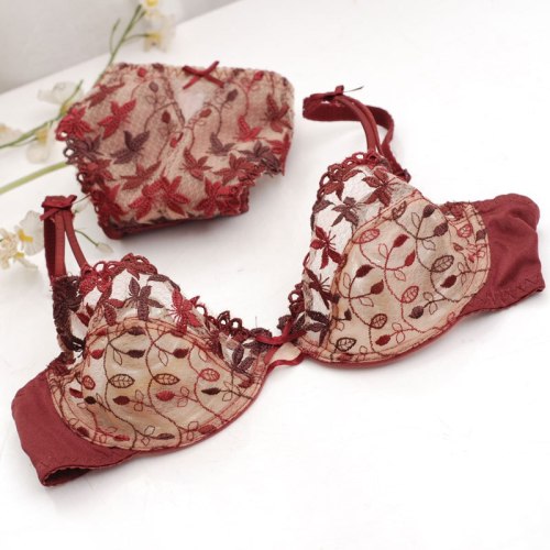 Wine Red Ultra Thin Transparent Hollowed Out Sexy Lingeries Bra Set 20130314