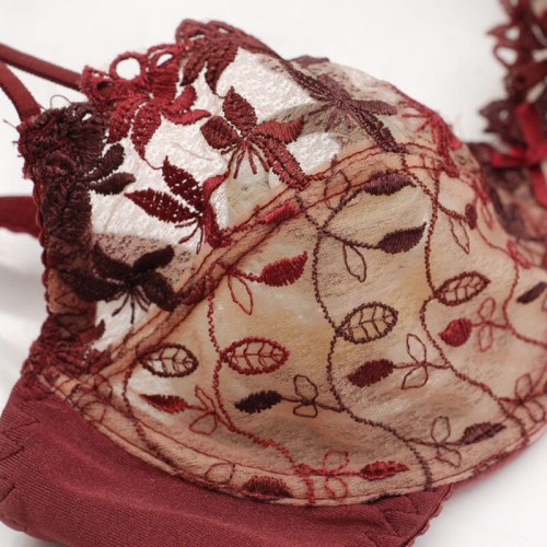 Wine Red Ultra Thin Transparent Hollowed Out Sexy Lingeries Bra Set 20130314
