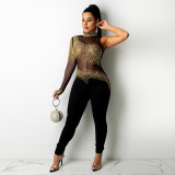 New sexy Bodysuits for Women Ladies Jumpsuits CY9279810
