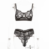 Fashionable sexy lingerie set for women 1332839
