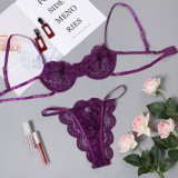 Fashionable sexy lingerie set for women 1465869