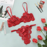 Fashionable sexy lingerie set for women S1292536J