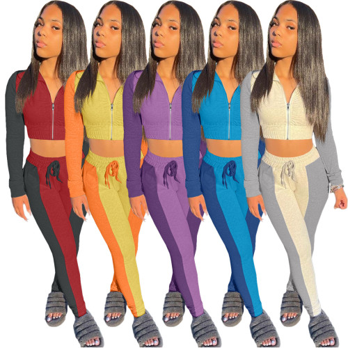 Fashion hot women Tracksuits Two pices ALS27081
