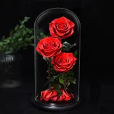 Valentine's Day gifts glass cover