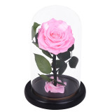 Preserved Flower glass cover Valentine's Day gifts Mother's Day gifts