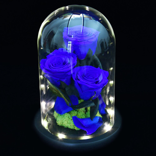 Preserved Flower glass cover Valentine's Day gifts Mother's Day gifts