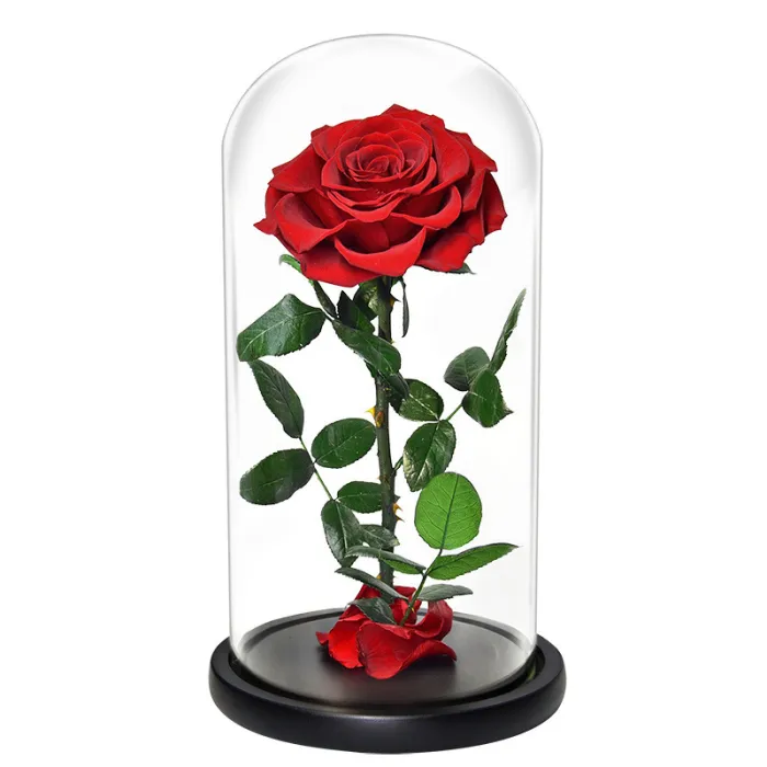 Valentine's Day gifts glass cover
