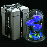 Preserved Flower glass cover Valentine's Day gifts Mother's Day gifts