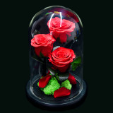Preserved Flower glass cover Valentine's Day gifts Mother's Day gifts