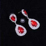Fashion women's earrings EH180617