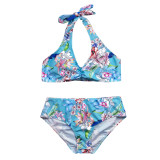 Fashionable new women's bikini swimsuits YSM2020415