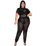 Spring/summer short sleeve see-through nightclub lace two-piece set J22Y610718