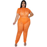 Spring/summer short sleeve see-through nightclub lace two-piece set J22Y610718