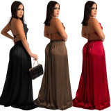 New style women fashionable sexy dress X550314