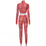 Stylish women's two-piece See through sets K21ST17687