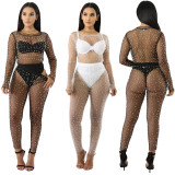 Stylish women's two-piece See through sets K857788