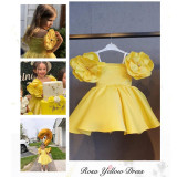 Kids Fashion Party Dress Dresses D082334-1