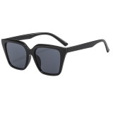 Trendy sunglasses Trendy street style sunglasses ZN356071