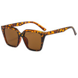 Trendy sunglasses Trendy street style sunglasses ZN356071