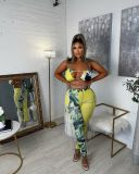 Echoine Print Undefined Ribbons Rope Two Piece Set Sexy Party Night Clubwear Bandage Lace Up Bra Top Pants Set Vacation Outfits