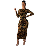fashion leopard Styles DRESS Dresses