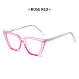 Fashion Retro Cat Eye Glasses Frames Women Anti-blue Light Optical Eyeglasses Frame Myopia Ultra-light TR90 Prescription Eyewear