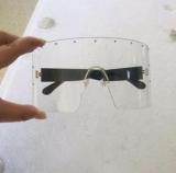 2022 Oversized Sunglasses newest unisex anti-glare metal privacy shield style  women sunglasses
