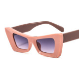 Unique Colorful cat eye Sunglasses Women Vintage patterned craft Fashion Square Sun Glasses Retro Men thick frame Shades