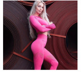 Hot selling spring and summer hollowed out seamless mesh elastic yoga suit with high waist and sexy peach buttocks pants set