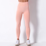 Seamless Yoga Exercise Set Women's Summer New Women's Net Red Fitness Pants New Stock Sports Leggings