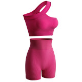 High quality new styles Gym wear sportsuit yoga suits