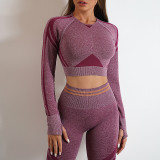 Sports Long Sleeve Top Leggings Set Fitness Running Knitted Yoga Suit Hip Lift Pants Set Tops and leggings set