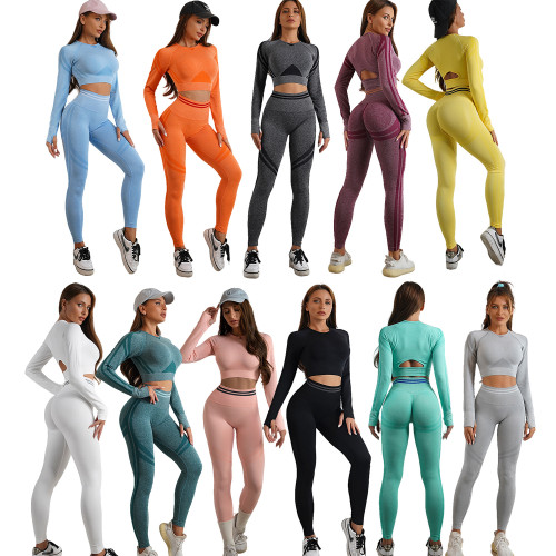 High quality new styles Gym wear sportsuit yoga suits