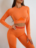 Sports Long Sleeve Top Leggings Set Fitness Running Knitted Yoga Suit Hip Lift Pants Set Tops and leggings set