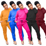 Fashionable Thick Apparel Hoodie And Pants 2 Piece Set Street Wear Women Sets Winter Clothing for Ladies