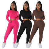 2023 Women 2 Piece Outfits Spring New Elastic High Waist Ripped Burnt-out Pants Sexy Two Piece Sets